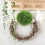 4 Unidades Bolas De Planta Artificial Plástico Para Teto 5