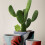 10 Pezzi Miniatura Per Decorazione Tavolo 5