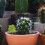 10 Pezzi Miniatura Per Decorazione Tavolo 6