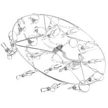 Dish Flower Droogrek 35,00X30,00X30,00 Cm