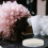 Extensions Bianco Cheratina Bifacciali Rotolo Styling 3