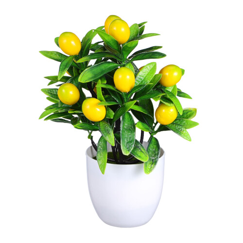 3 Pezzi Bonsai Albero per 1