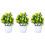 3 Pezzi Bonsai Albero per 9