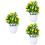 3 Pezzi Bonsai Albero per 11