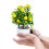 3 Pezzi Bonsai Albero per 6