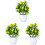 3 Pezzi Bonsai Albero per 7