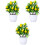 3 Pezzi Bonsai Albero per 8