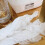 1 Rotolo Salviette Detergenti In Per 8