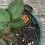 20 Pièces Outil Jardinier Engrais Kit Taille S L 6