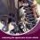 Dekorative Schlüsselanhänger Universal Radheizung 8
