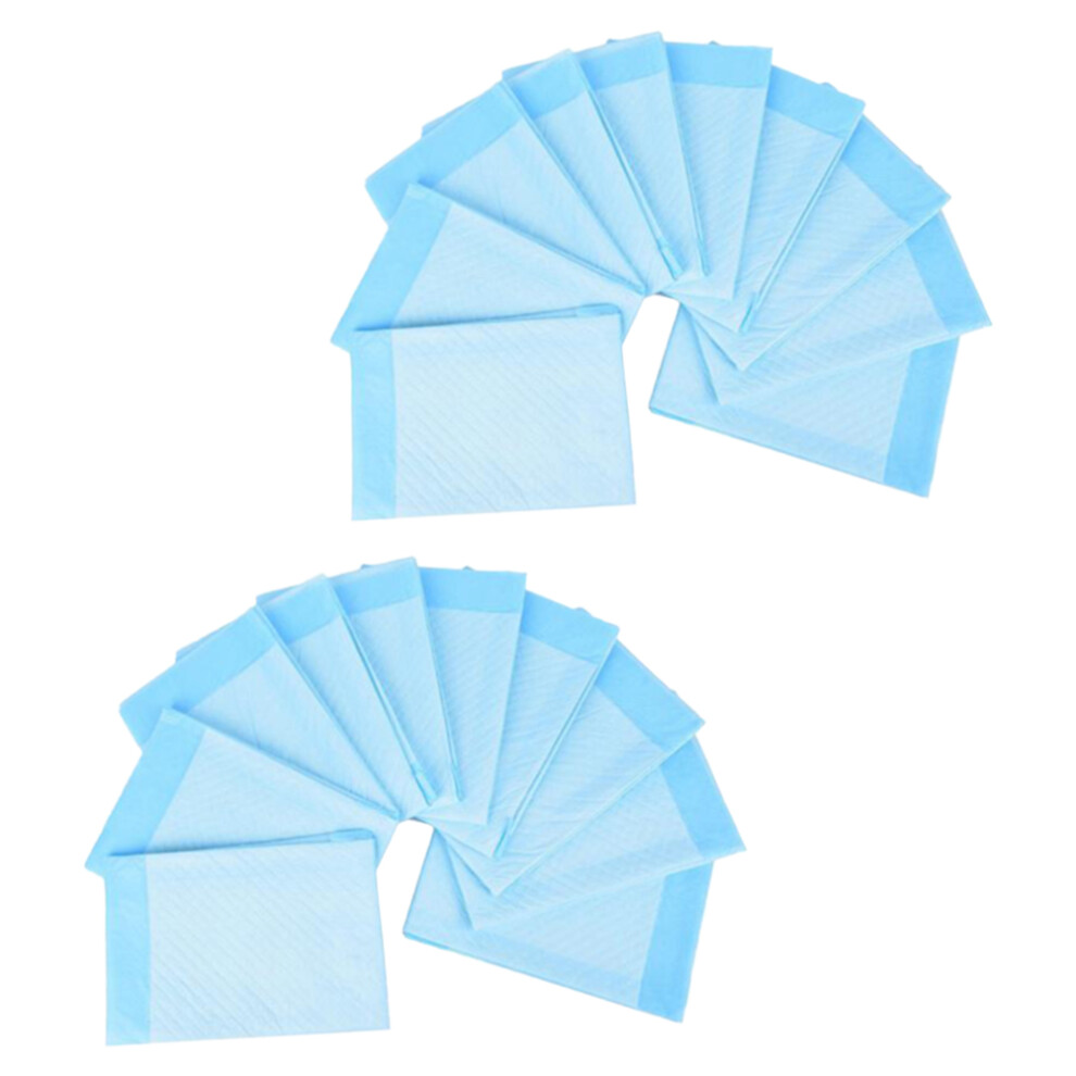 Artibetter Blue 20Pcs Adults Diaper Urine Bed Pads Washable Sky- Mat