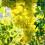 Netting Garden Mesh Garden Climbing Net Polyester 2pcs 7
