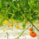 Netting Garden Mesh Garden Climbing Net Polyester 2pcs 3