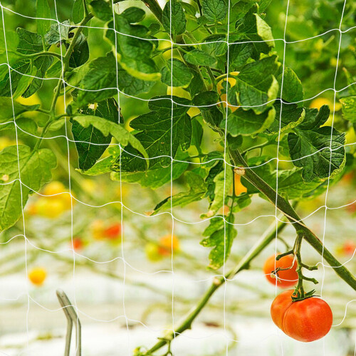 Netting Garden Mesh Garden Climbing Net Polyester 2pcs 2