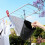 Clothespin Bag Hanging Use for Pegs Organizer Storage 5