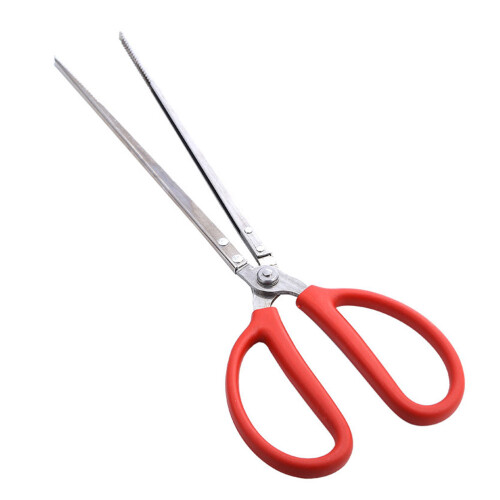 Crab Serrated Design Rostfrei 2