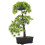 5 Pezzi Decorazione Albero Pino Artificiale Realistico In Vaso 1