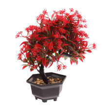 Albero Bonsai Piccolo Da Per Mobile Tv Decorazione