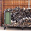 Firewood Houtblokken Groen Set 5