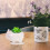 Succulenten Übertopf Weiß Keramik Desktop 7
