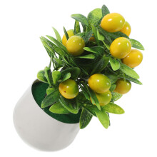 Mini Bonsai Baum Künstliche Topfpflanze Multi 2 1 Satz