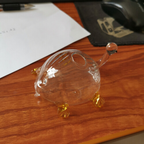 Vase Transparente Schildkröte 1Stk 2