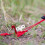 Ground Stakes Heavy Duty Zelt Weiß 1 3