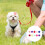 20 Elastische Haarband Für Hundewelpen Mit Bunt 6