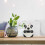 2St Zahnstocherhalter Panda Design 7