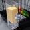 Parrot Feeder Vogelfutterbox Acryl 1Set 4