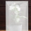 3 Unidades Para Plantas Heladas Bolsa Transparente 7