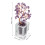 Albero Bonsai Con Base Per E Fortuna Spirituale 2