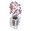 Albero Bonsai Con Base Per E Fortuna Spirituale 9
