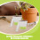 18 Pezzi Vasi Trasparenti 3" per Orchidee con Base in Silicone 10
