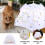 Pet Zeltbett Für Aus Wasserdichtem Polyester 6