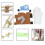 Trumpet Accessories Assorted Colors Your Instrument 10