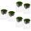 6 Moss Micro Landschap Diy Glasfles Sierobject Decoratie 6