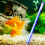 Led Blasenlampe Für Aquarium Mit 8