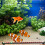 Led Blasenlampe Für Aquarium Mit 9