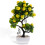 Künstlicher Fruchtbaum PP Blumen Büro Desktop 3