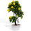 Künstlicher Fruchtbaum PP Blumen Büro Desktop 5