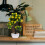Künstlicher Fruchtbaum PP Blumen Büro Desktop 9