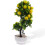 Künstlicher Fruchtbaum PP Blumen Büro Desktop 7