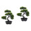 2 Unidades De Bonsai Artificial De Para Decoração 6