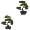 2 Unidades De Bonsai Artificial De Para Decoração 5