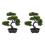 2 Unidades De Bonsai Artificial De Para Decoração 4