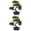 2 Unidades De Bonsai Artificial De Para Decoração 7
