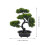2 Unidades De Bonsai Artificial De Para Decoração 10
