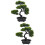 2 Unidades De Bonsai Artificial De Para Decoração 9
