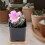 6 Unidades De Bandejas Para De Plantas De 9